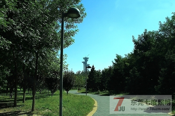 城市森林公園道路、步道照明設(shè)計原則