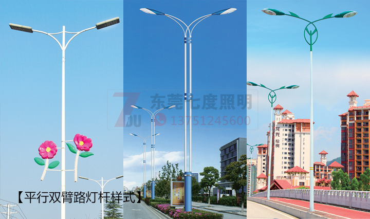 道路燈桿平行雙臂路燈桿樣式圖片展示